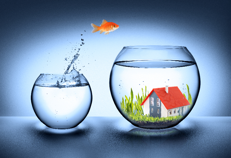 3 Advantages of Net Branch Mortgages You should know about